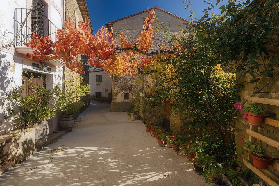 Calle de Arbués en otoño